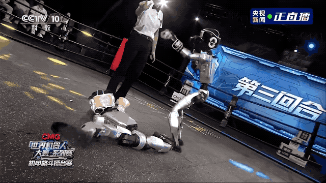 人形机器人打拳比赛_机器人擂台赛_机器人格斗赛