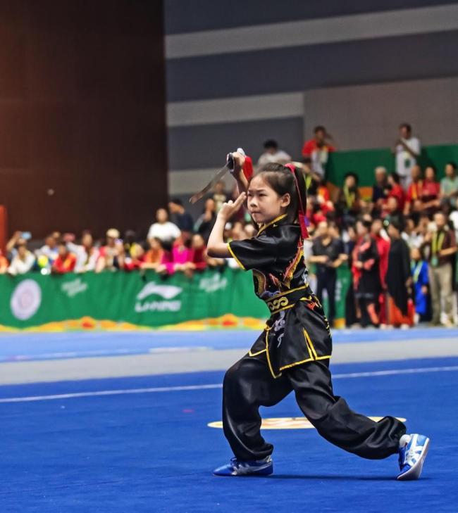 李连杰新身份：001号终身志愿者 助力武术梦