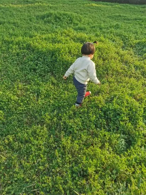 开学季家长不舍情绪_大一新生家长提前“空巢”了_高中三年家长陪读辛酸