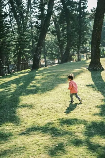 开学季家长不舍情绪_大一新生家长提前“空巢”了_高中三年家长陪读辛酸