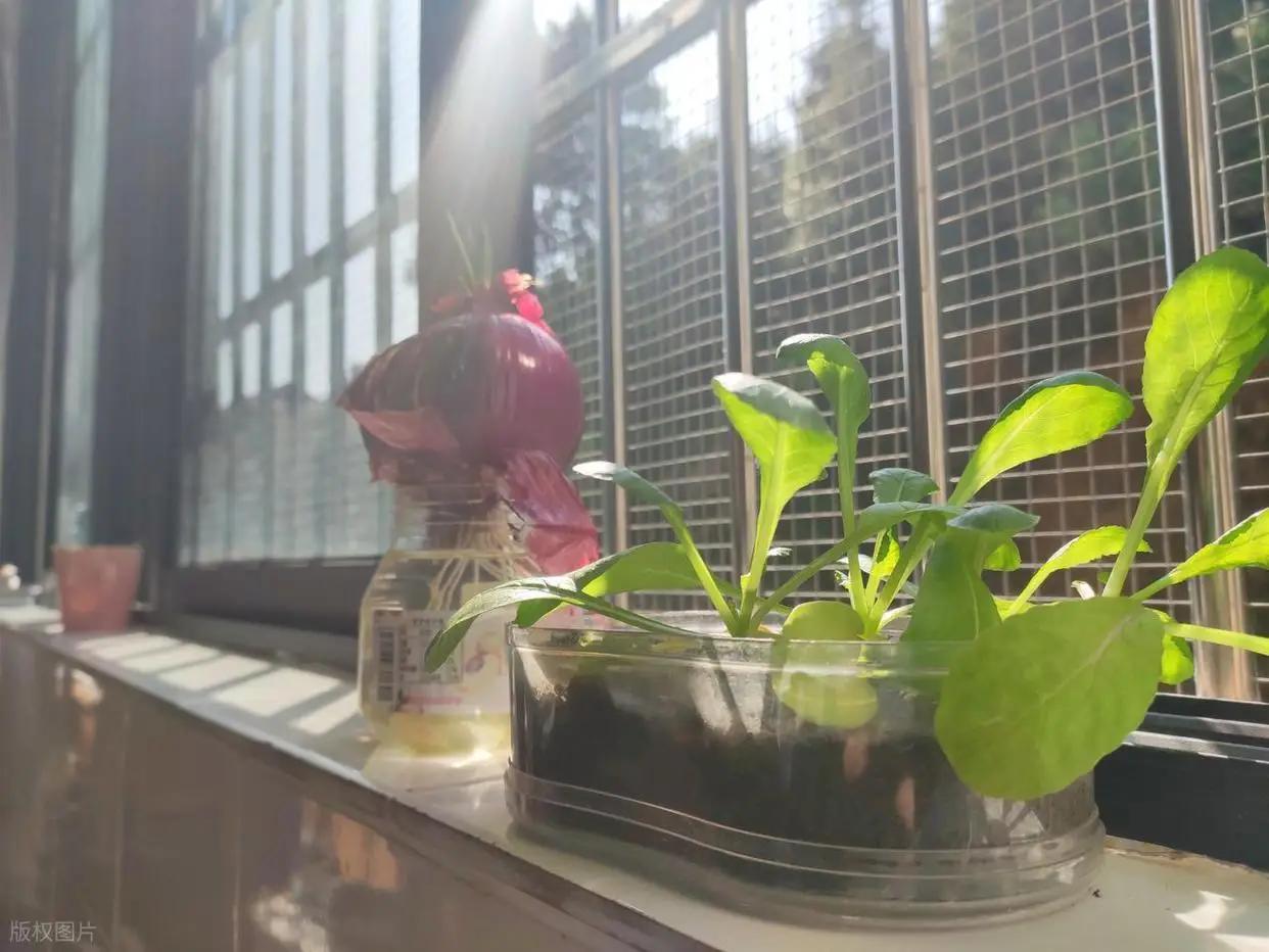 高中三年家长陪读辛酸_大一新生家长提前“空巢”了_开学季家长不舍情绪