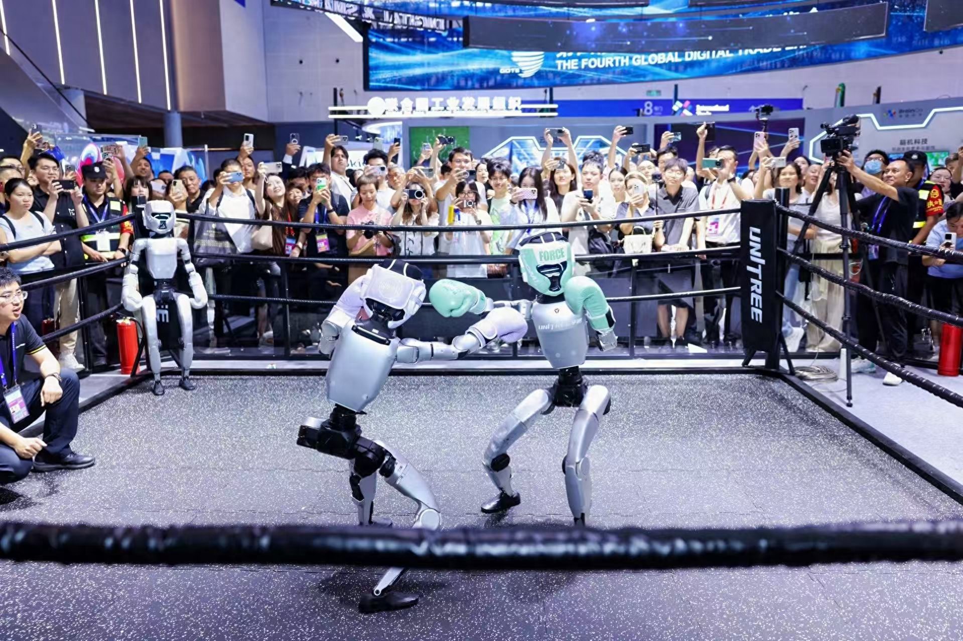 实探第四届数贸会：机器人格斗，AI舌诊把脉，前沿科技在这里“可触可感”