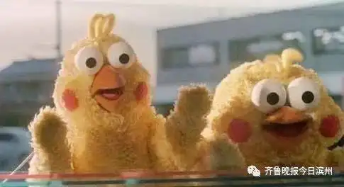 终极PK！滨州“最美老板娘”是她们……