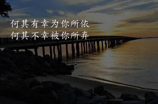 仓鼠不喝水会死吗