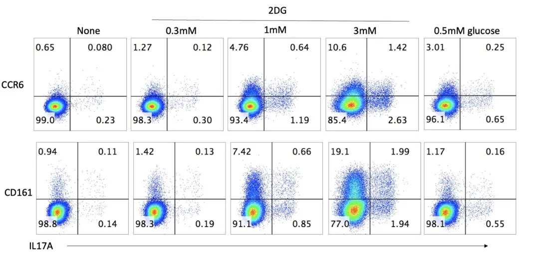 GPT-5门萨IQ测试结果_gpt-5连破10道百年悬案级难题_GPT-5路由问题原因分析