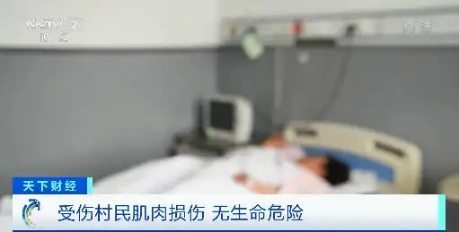 野生东北虎闯入黑龙江密山事件_东北虎伤人事件后续处理_男子夜遇野生东北虎 大喊“本地的”
