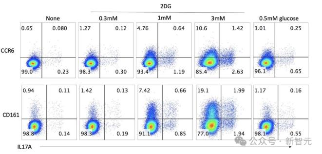GPT-5路由问题与智能表现_gpt-5连破10道百年悬案级难题_GPT-5 IQ测试结果分析