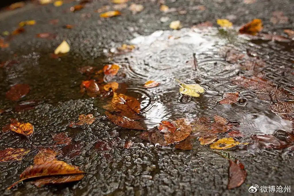 小雨+中雨+雨夹雪！断崖式降温，河北未来三天……