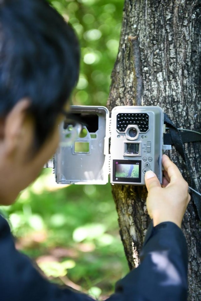 男子夜遇野生东北虎 大喊“本地的”_东北虎豹国家公园_野生东北虎保护