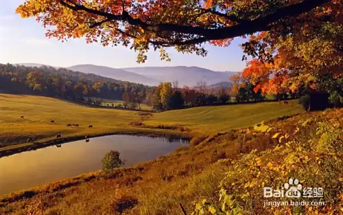 新闻采访拍摄技巧