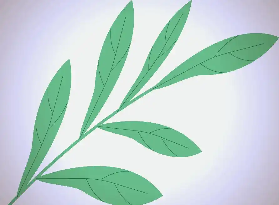 幼儿园开学前卫生大扫除_新慧层幼儿园全方位清洁行动_幼儿园卫生新闻稿件