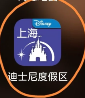 显示的排队时间都是尊享卡的吗_迪士尼下载什么app看排队时间_迪士尼app为什么看不到排队时间