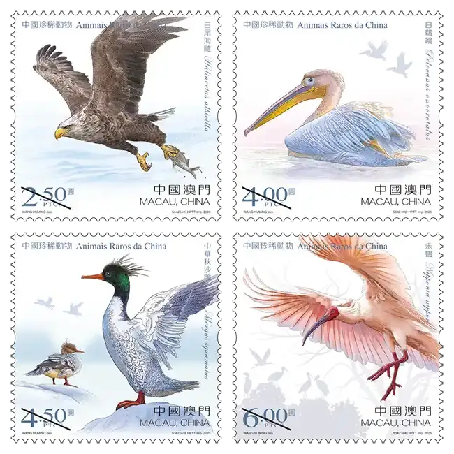 80纪念币兑换时间_2026马年纪念币来了_纪念币预约兑换攻略