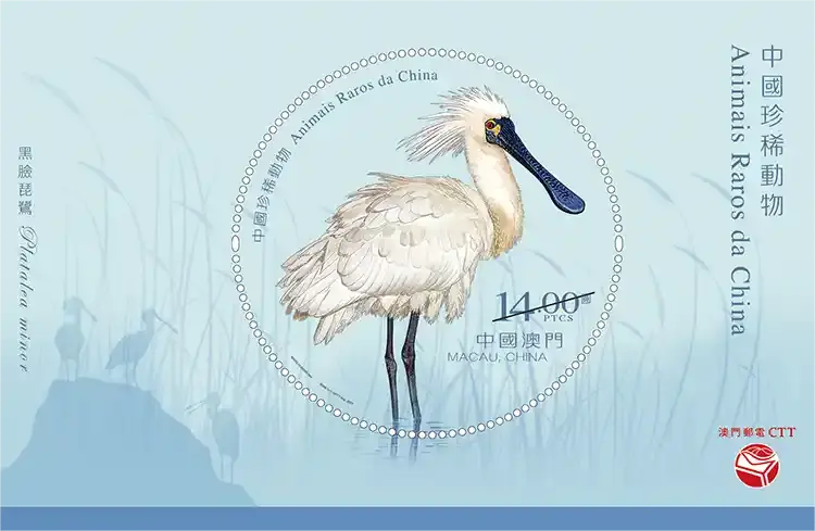 2026马年纪念币来了_80纪念币兑换时间_纪念币预约兑换攻略