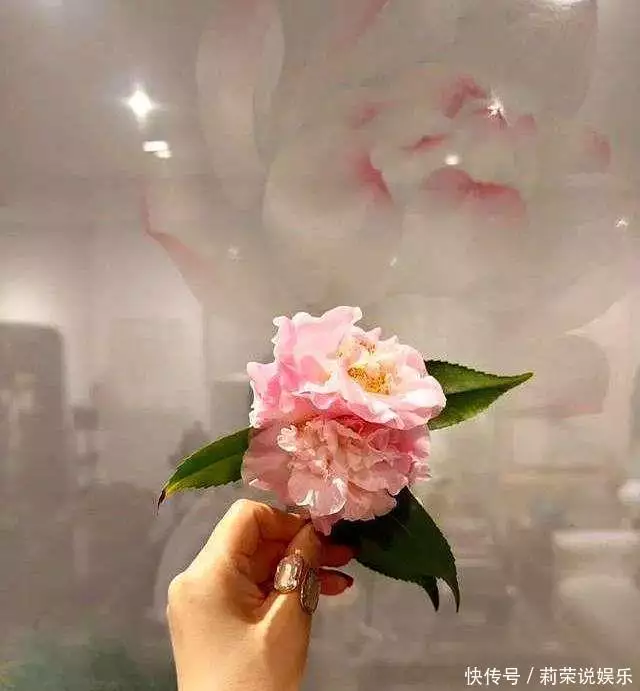 吕良伟老婆杨小娟 粉色新中式服装 69岁恩爱夫妻_吕良伟的老婆是谁