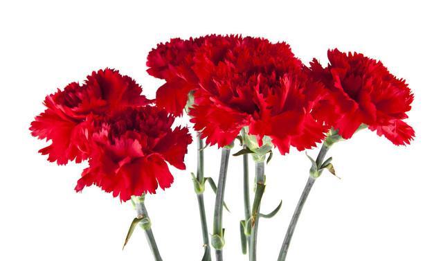 她到底喜不喜欢我看出来_时间灯秒回消息判斷喜不喜我_有没有爱奇艺会员账号共享