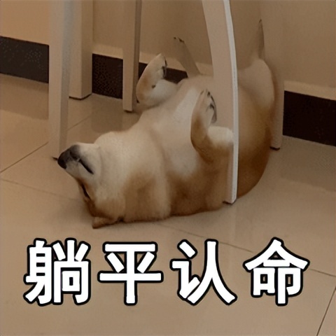 爱奇艺黄金会员投屏限制_有没有爱奇艺会员账号共享_爱奇艺会员涨价投屏限制