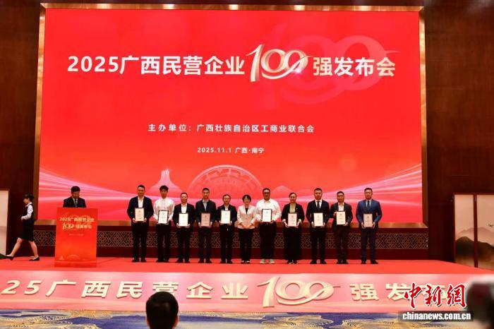 广西制造业民营企业100强_2025广西民营企业100强_2025新闻100字左右