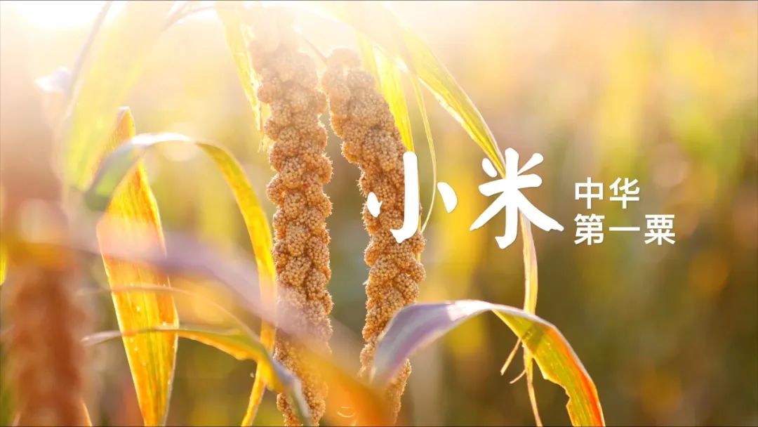 阜蒙县返乡回乡看家乡活动_阜蒙县农业产业集群发展_阜蒙县政府