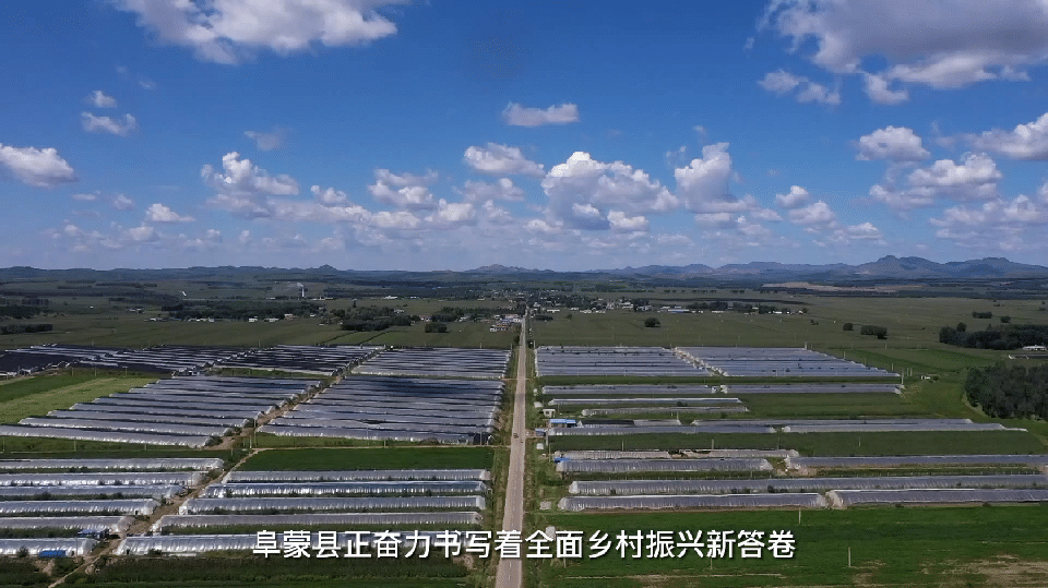 阜蒙县农业产业集群发展_阜蒙县政府_阜蒙县返乡回乡看家乡活动
