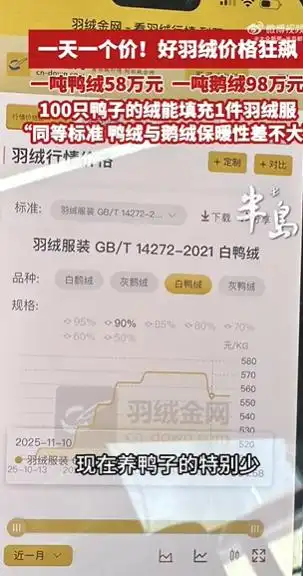 羽绒服怎么买_1吨鸭绒从17万涨到58万_什么价位的羽绒服合适
