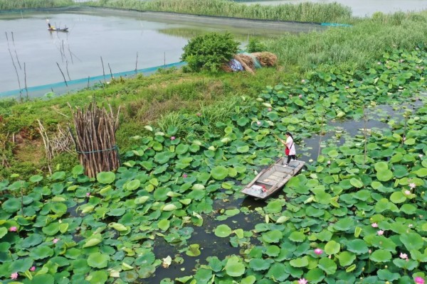 泗洪归仁美女_泗洪县行舟问诊村医 吕正红 江苏好人榜 乡村医生事迹
