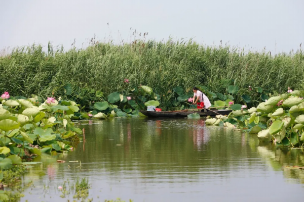 泗洪归仁美女_泗洪县行舟问诊村医 吕正红 江苏好人榜 乡村医生事迹