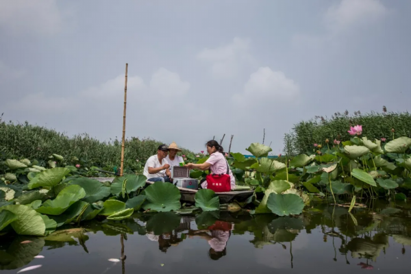 泗洪归仁美女_泗洪县行舟问诊村医 吕正红 江苏好人榜 乡村医生事迹