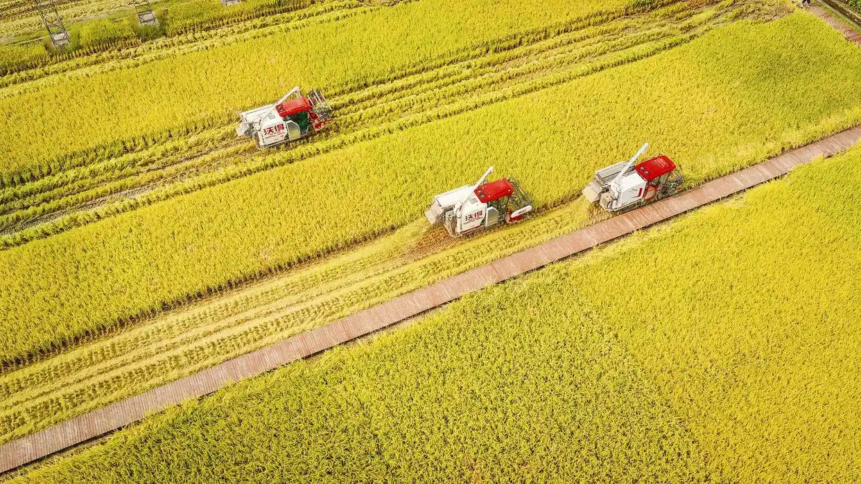 中国式现代化建设进程_总书记擘画中国式现代化新篇章_"十四五规划经济发展成就