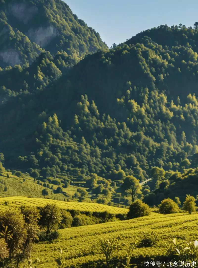 南楚马希范历史评价_duduchuanqi_溪州铜柱历史意义