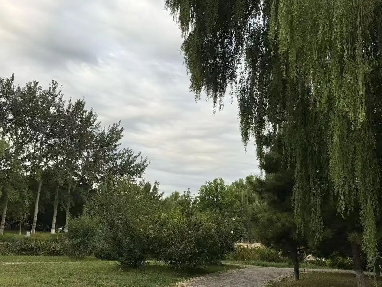 最高气温17℃ 大风＋寒潮双预警！冷冷冷冷冷～羽绒服该上场了