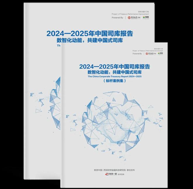 全球财务体系升级，构建系统化财务策略与风险管理体系