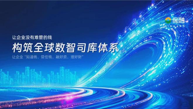 构建系统化财务策略_跨境经营风险管理体系_duduchuanqi