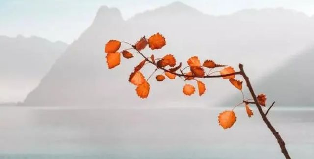 识别一个人品质百度经验_看他在人情往来时的表现_看一个人做错事后的反应