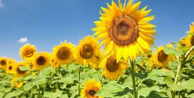 看他在人情往来时的表现_看一个人做错事后的反应_识别一个人品质百度经验