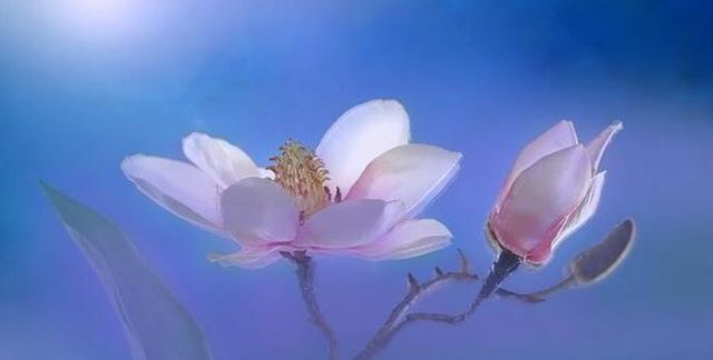 识别一个人品质百度经验_看一个人做错事后的反应_看他在人情往来时的表现