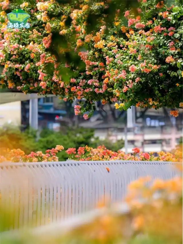 台风“风神”和冷空气联手了_广东冷空气影响范围_广东下周降温