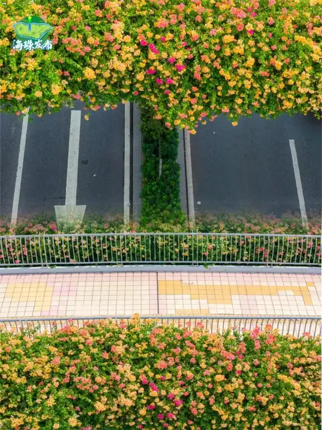 广东下周降温_广东冷空气影响范围_台风“风神”和冷空气联手了