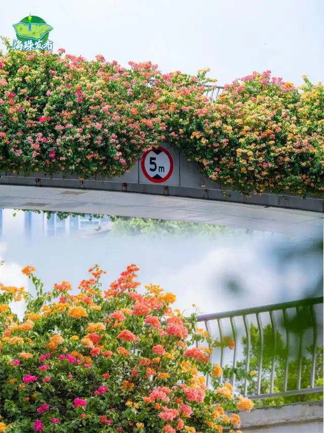 广东冷空气影响范围_台风“风神”和冷空气联手了_广东下周降温