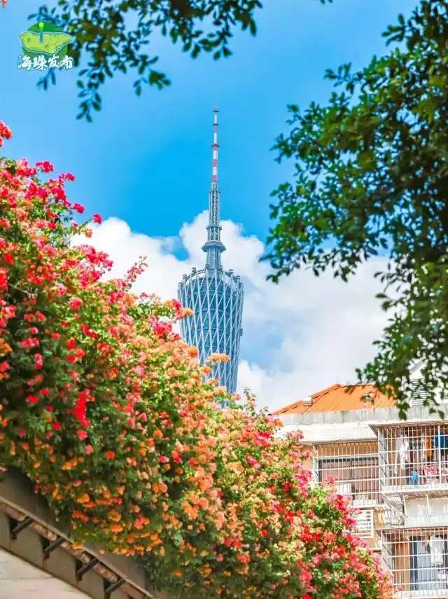 广东冷空气影响范围_广东下周降温_台风“风神”和冷空气联手了