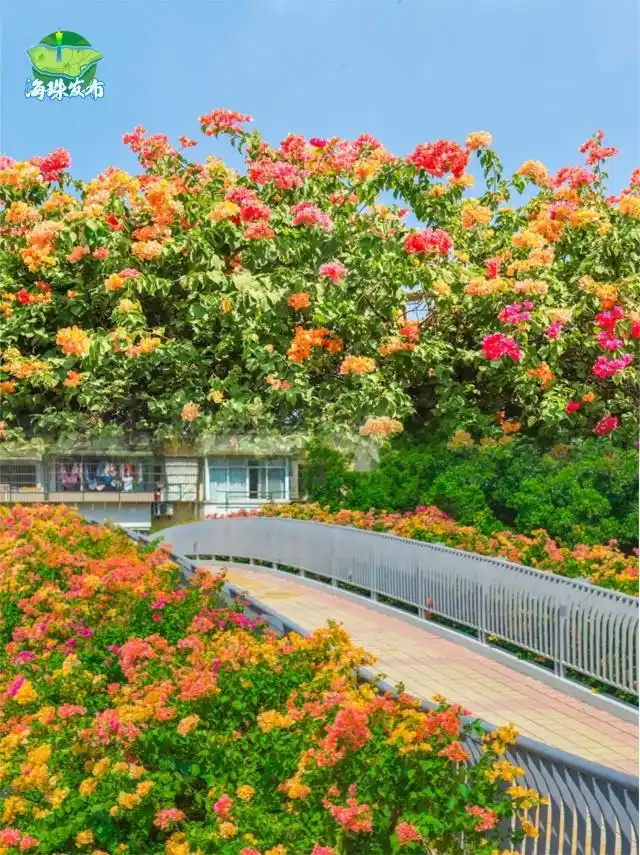 广东下周降温_台风“风神”和冷空气联手了_广东冷空气影响范围