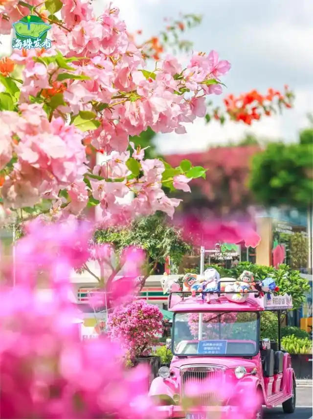 台风“风神”和冷空气联手了_广东冷空气影响范围_广东下周降温