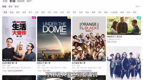 人人影视客户端下载_人人影视字幕组侵权案_视频网站与字幕组关系演变