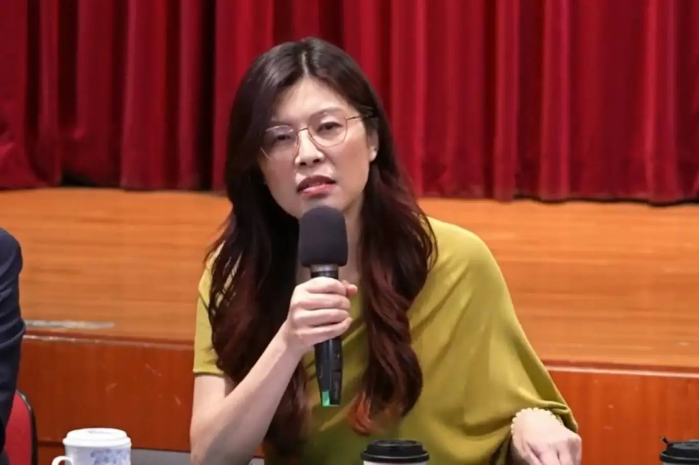 郑丽文:绝不让台湾成“麻烦制造者”_郑丽文:绝不让台湾成“麻烦制造者”_郑丽文:绝不让台湾成“麻烦制造者”