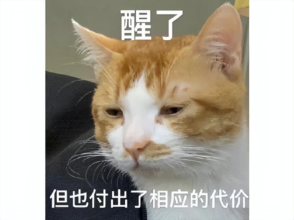 LOL衍生游戏搜魔人英雄联盟传奇上架Steam_命运方舟国服首测问题_火炬之光2 法师