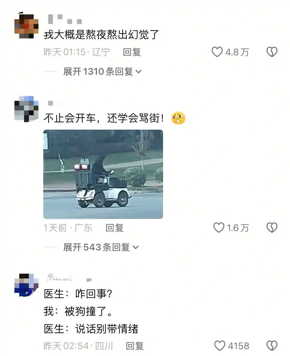 拉布拉多开车上路?当地交管局回应_狗驾驶老年代步车_眉山网红狗开车上路