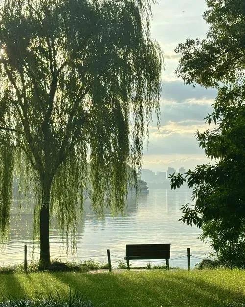 心理测试大全_情绪避难所_职场倦怠_生态焦虑