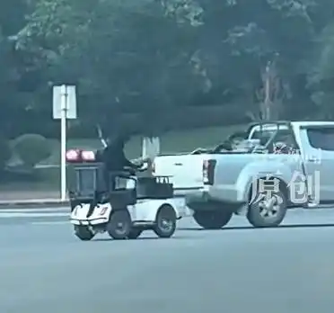 拉布拉多开车上路?当地交管局回应_黑色拉布拉多电动车驾驶 网友拍到狗开车 狗主人陈先生老年代步车改装