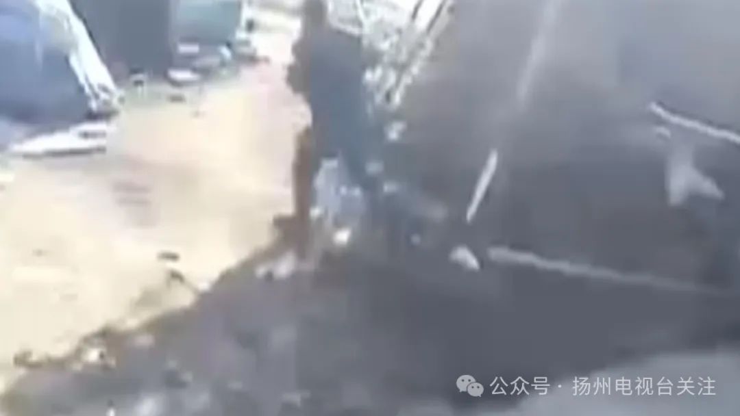 高邮监控拍下偷狗全过程_扬州偷狗事件_今日高唐偷狗新闻