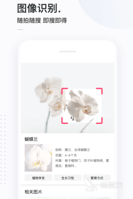 全文搜索的软件有哪些_手机文件搜索软件_文件管理搜索应用